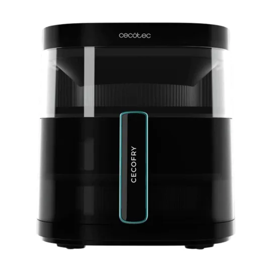 Cecotec air fryer